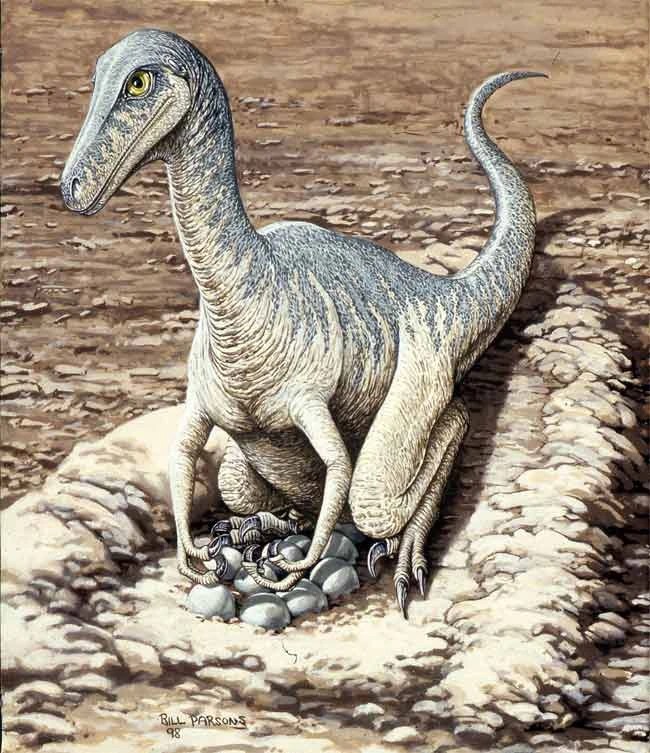 Troodon: El Dinosaurio Inteligente del&nbsp;Cretácico