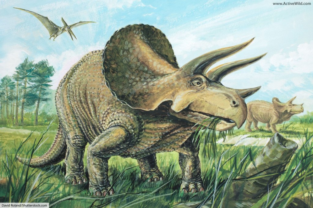 Triceratops: El Gigante de los Tres&nbsp;Cuernos